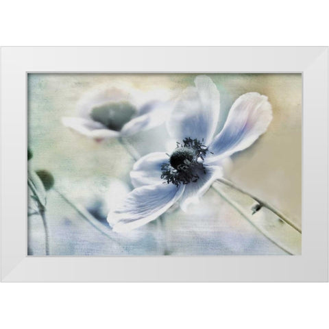 Anemone Whisper White Modern Wood Framed Art Print by Weisz, Irene