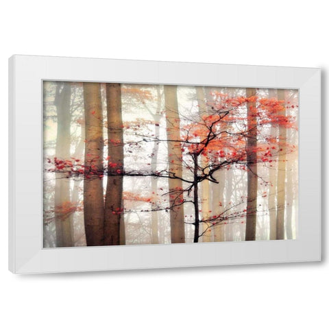 Orange Awakening White Modern Wood Framed Art Print by Weisz, Irene