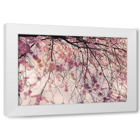 Spring Song White Modern Wood Framed Art Print by Weisz, Irene