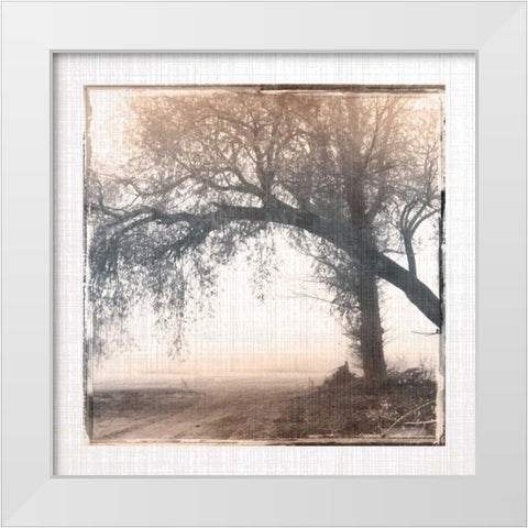 Foggy Light III White Modern Wood Framed Art Print by Robinson, Carol