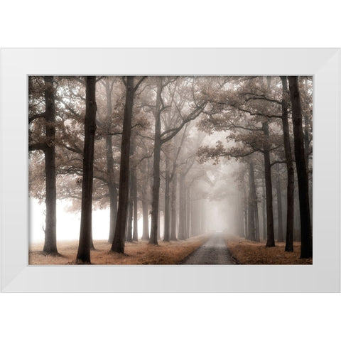 Misty Road White Modern Wood Framed Art Print by Van de Goor, Lars