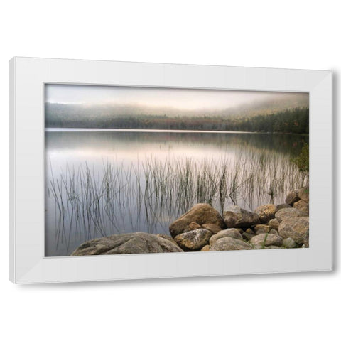 Wanderlust White Modern Wood Framed Art Print by Delimont, Danita