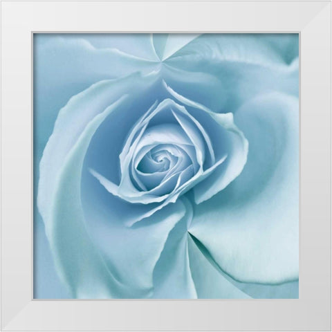 Blue Embrace White Modern Wood Framed Art Print by Delimont, Danita