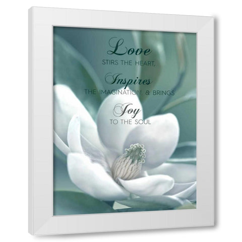 Joy To The Soul White Modern Wood Framed Art Print by Delimont, Danita