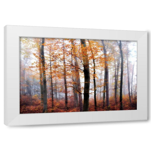 Lost in the Forest White Modern Wood Framed Art Print by Weisz, Irene