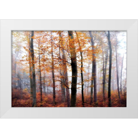 Lost in the Forest White Modern Wood Framed Art Print by Weisz, Irene