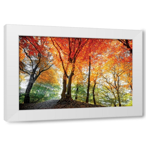 Prism of Light White Modern Wood Framed Art Print by Van de Goor, Lars