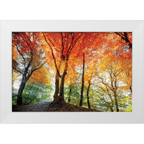 Prism of Light White Modern Wood Framed Art Print by Van de Goor, Lars