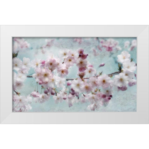 Scent of Spring White Modern Wood Framed Art Print by Weisz, Irene