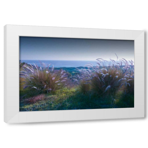 Above Mailbu White Modern Wood Framed Art Print by Calascibetta, Mike