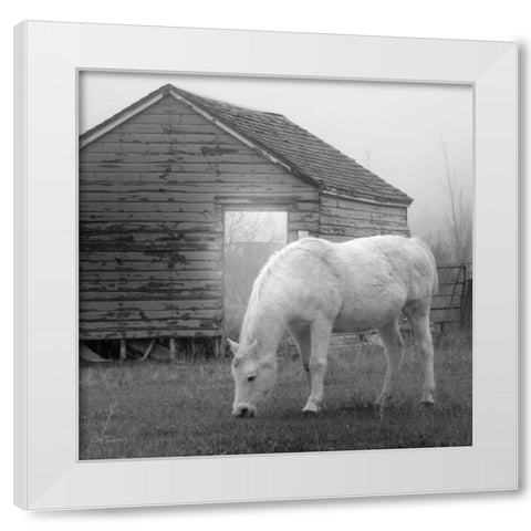 Misty Pasture White Modern Wood Framed Art Print by Robinson, Carol