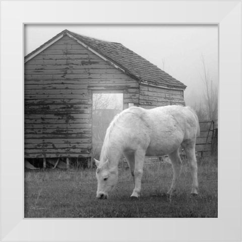 Misty Pasture White Modern Wood Framed Art Print by Robinson, Carol