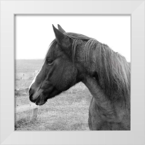 Catch Your Eye White Modern Wood Framed Art Print by Robinson, Carol