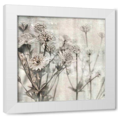 Natural Ones I White Modern Wood Framed Art Print by Weisz, Irene