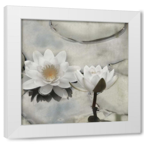 My Garden Pond II White Modern Wood Framed Art Print by Weisz, Irene