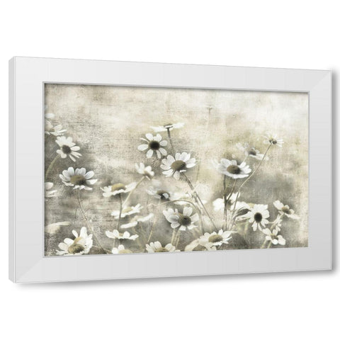 Wild Daisy Meadow I White Modern Wood Framed Art Print by Weisz, Irene
