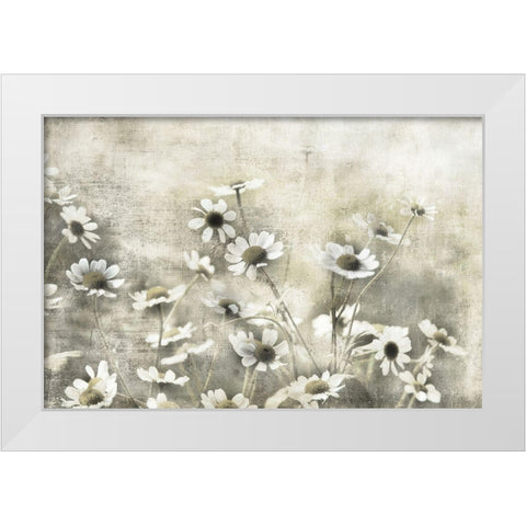 Wild Daisy Meadow I White Modern Wood Framed Art Print by Weisz, Irene
