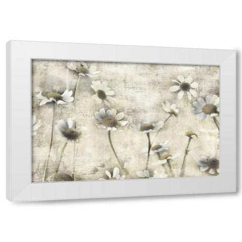 Wild Daisy Meadow II White Modern Wood Framed Art Print by Weisz, Irene