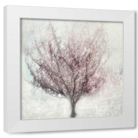 Blossoming of Spring White Modern Wood Framed Art Print by Weisz, Irene