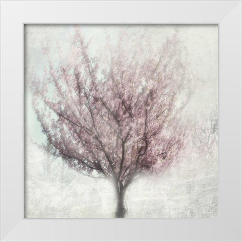Blossoming of Spring White Modern Wood Framed Art Print by Weisz, Irene