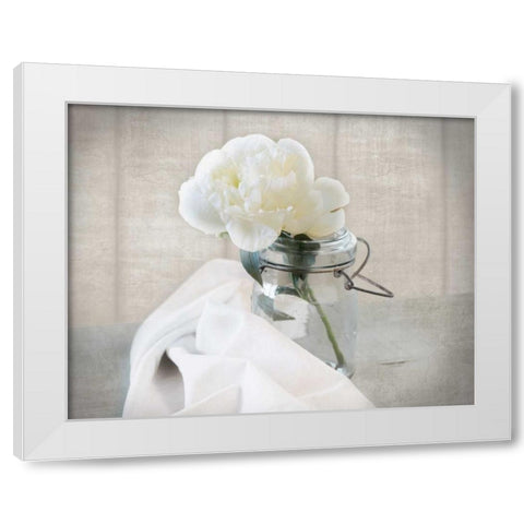 Mason Jar Bloom I White Modern Wood Framed Art Print by Delimont, Danita