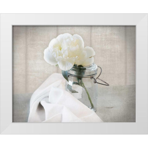 Mason Jar Bloom I White Modern Wood Framed Art Print by Delimont, Danita