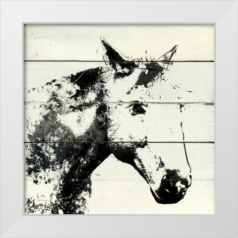 Barn Shadow White Modern Wood Framed Art Print by Robinson, Carol