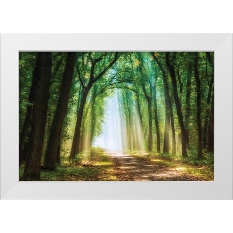 Curtain of White Modern Wood Framed Art Print by Van de Goor, Lars