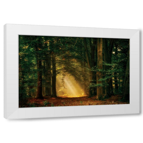 Shine On White Modern Wood Framed Art Print by Van de Goor, Lars