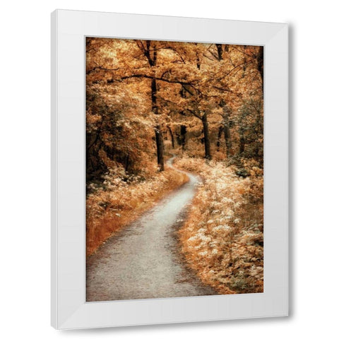 Winding Path White Modern Wood Framed Art Print by Van de Goor, Lars