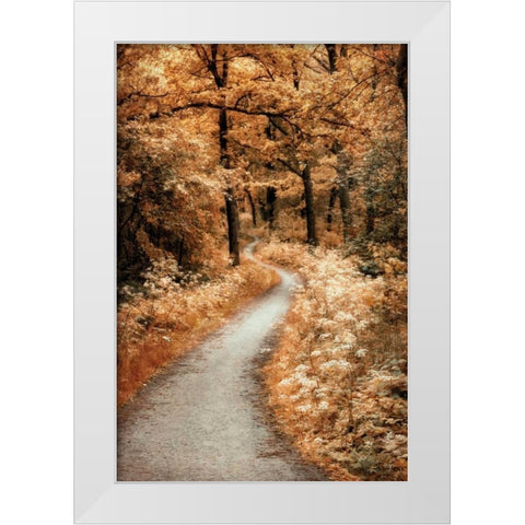 Winding Path White Modern Wood Framed Art Print by Van de Goor, Lars