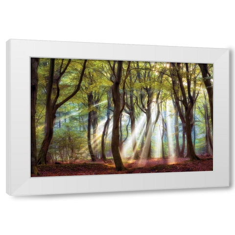 Majestic White Modern Wood Framed Art Print by Van de Goor, Lars