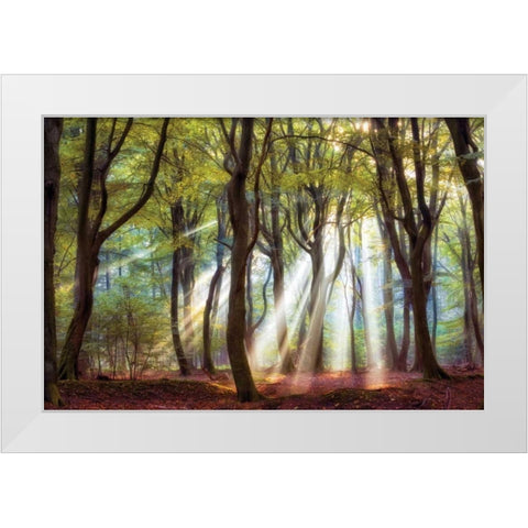 Majestic White Modern Wood Framed Art Print by Van de Goor, Lars