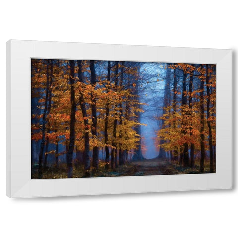 The Path of White Modern Wood Framed Art Print by Van de Goor, Lars