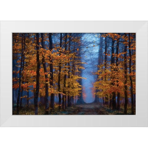 The Path of White Modern Wood Framed Art Print by Van de Goor, Lars