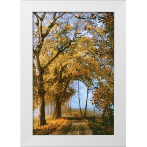 The Road to You White Modern Wood Framed Art Print by Van de Goor, Lars
