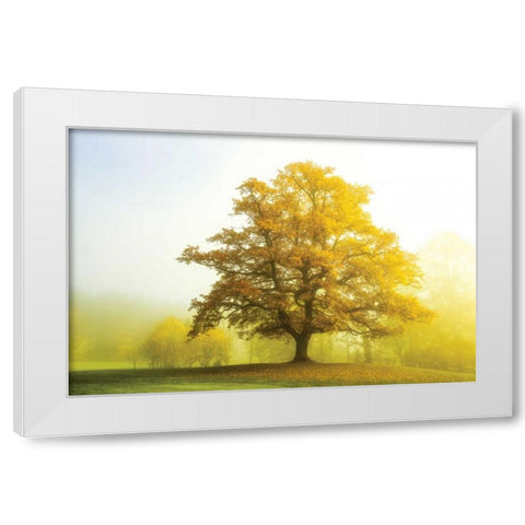The Sentinel White Modern Wood Framed Art Print by Van de Goor, Lars