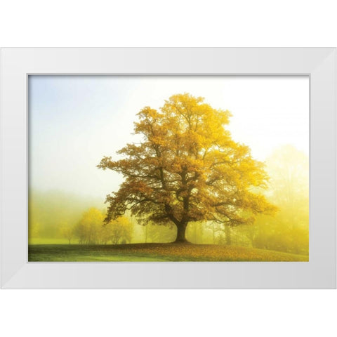 The Sentinel White Modern Wood Framed Art Print by Van de Goor, Lars