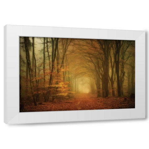 Early Light White Modern Wood Framed Art Print by Van de Goor, Lars