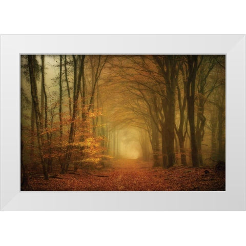 Early Light White Modern Wood Framed Art Print by Van de Goor, Lars