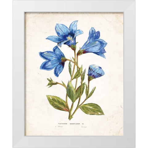 Botanical II White Modern Wood Framed Art Print by Nan