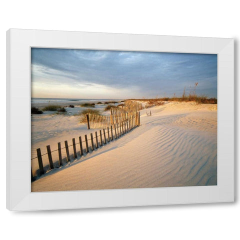 Huntington White Modern Wood Framed Art Print by Delimont, Danita
