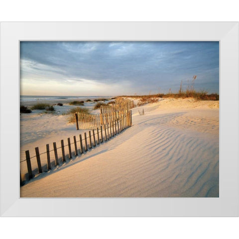 Huntington White Modern Wood Framed Art Print by Delimont, Danita