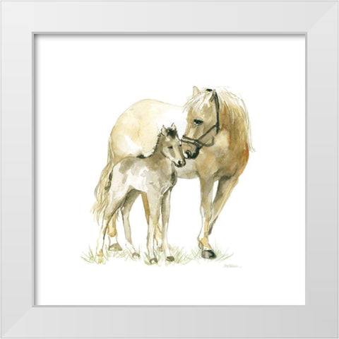 Horse and Colt White Modern Wood Framed Art Print by Robinson, Carol