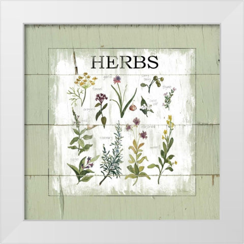 Shiplap Herbs White Modern Wood Framed Art Print by Robinson, Carol