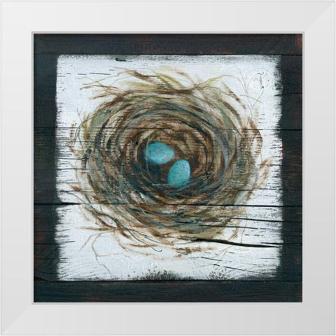 Stained Nest White Modern Wood Framed Art Print by Robinson, Carol