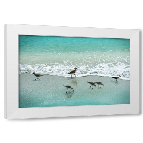 Sandpiper Beach Party White Modern Wood Framed Art Print by Nan