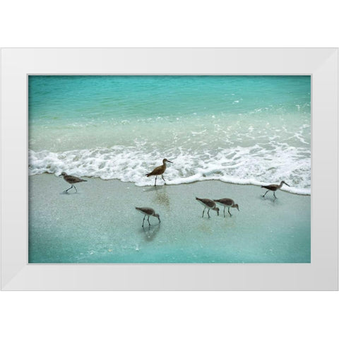 Sandpiper Beach Party White Modern Wood Framed Art Print by Nan