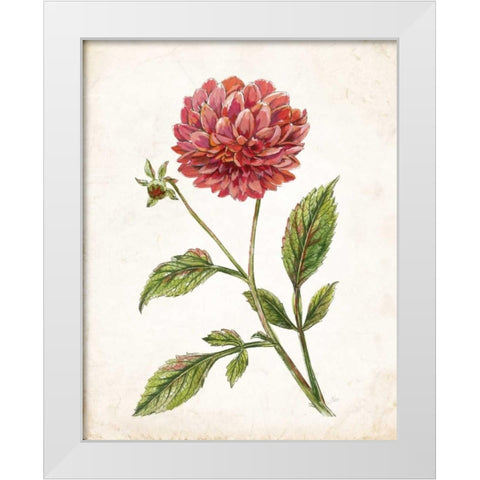 Scarlet Botanical I White Modern Wood Framed Art Print by Nan