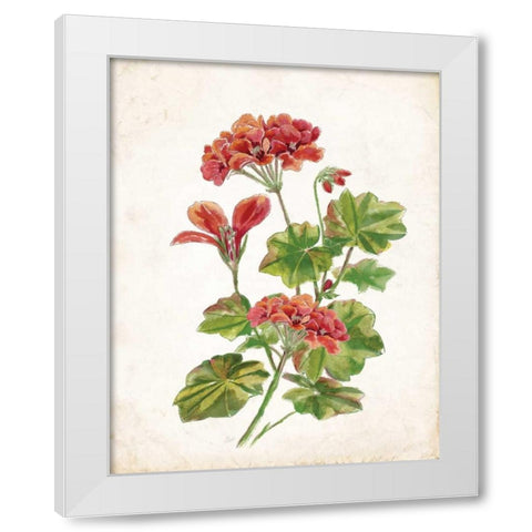 Scarlet Botanical II White Modern Wood Framed Art Print by Nan